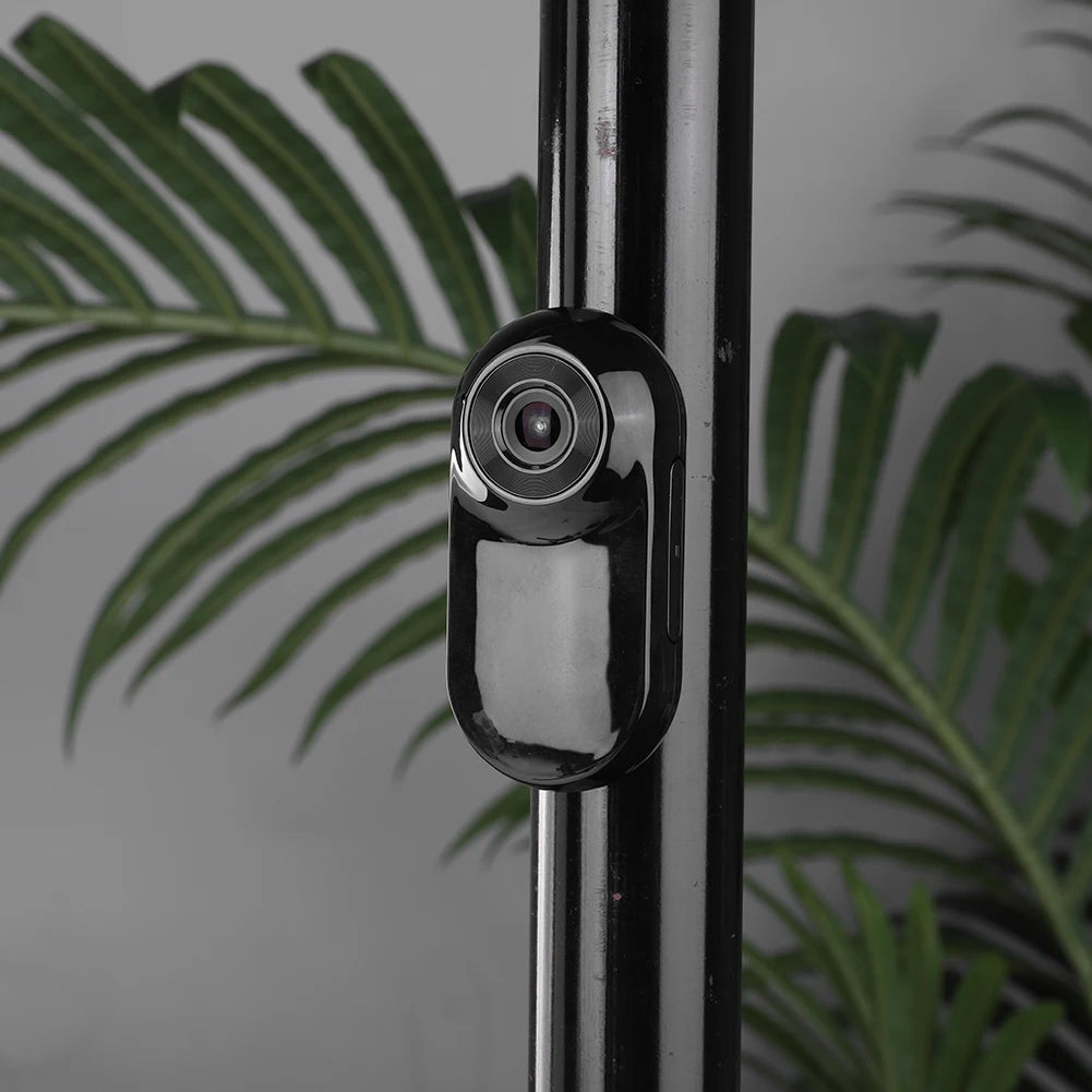 🐾 PawVision™ Caméra sans fil pour collier d'animaux 1080P - Pas besoin de Wi-Fi !
