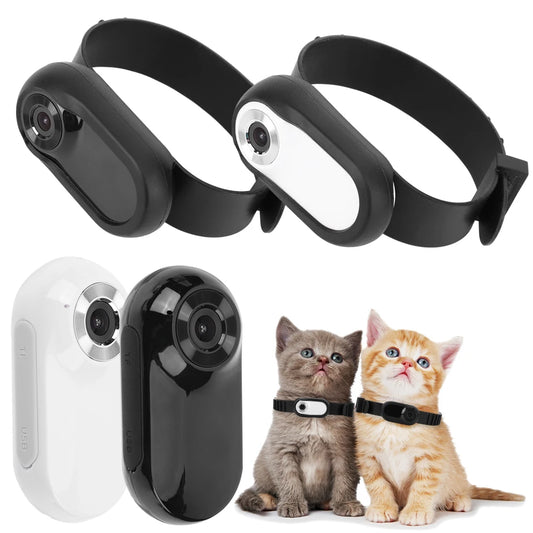 🐾 PawVision™ Caméra sans fil pour collier d'animaux 1080P - Pas besoin de Wi-Fi ! 