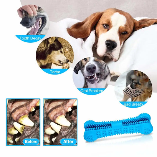 PawBrush™ – Brosse à dents et jouet à mâcher 360° pour chien