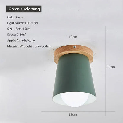 Modern Nordic E27 Ceiling Lamp – Indoor Flush Mount Light for Hallway, Bedroom & Living Room