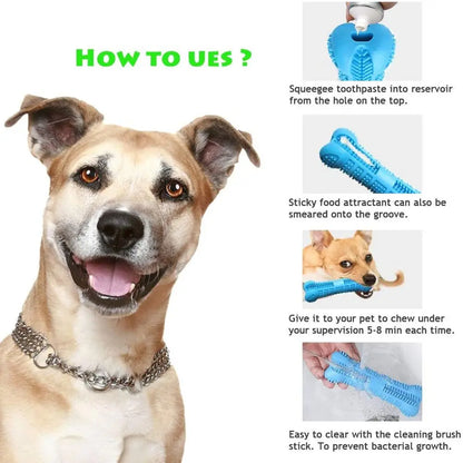 PawBrush™ – Brosse à dents et jouet à mâcher 360° pour chien