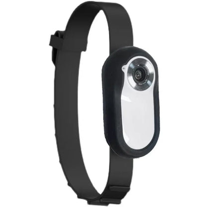 🐾 PawVision™ Caméra sans fil pour collier d'animaux 1080P - Pas besoin de Wi-Fi ! 