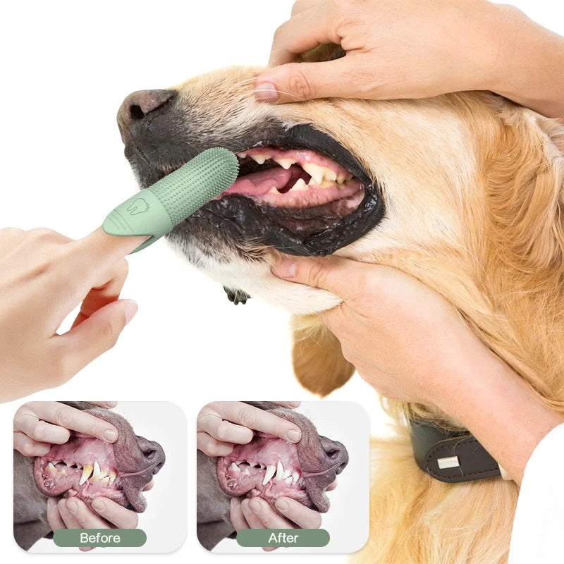 PawClean™ – Brosse à dents à 360° pour chiens et chats 
